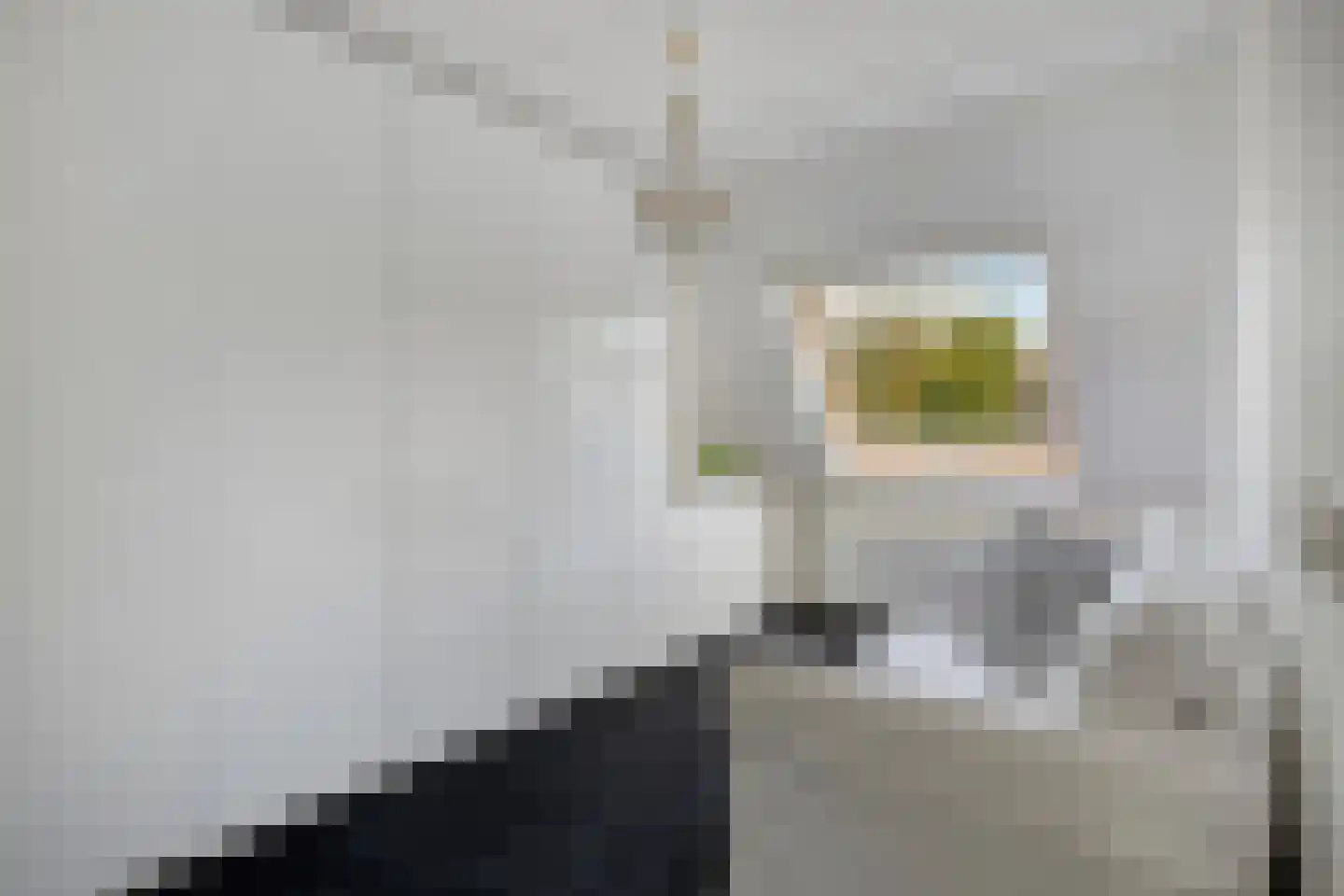Ledalaan 17 Enschede thumbnail 19