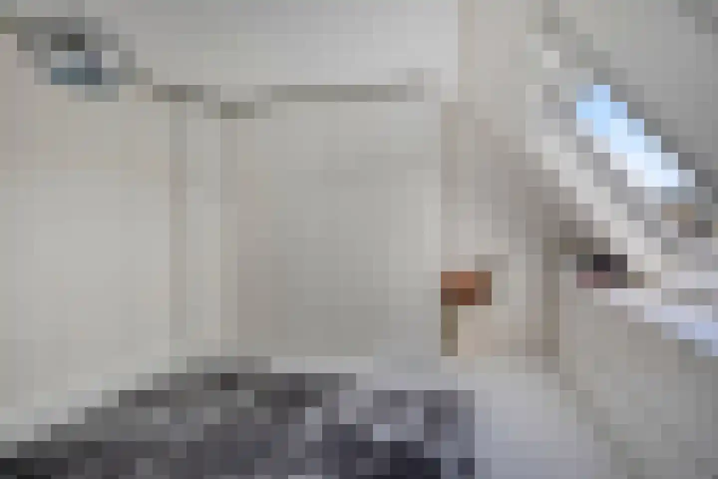 Ledalaan 17 Enschede thumbnail 23