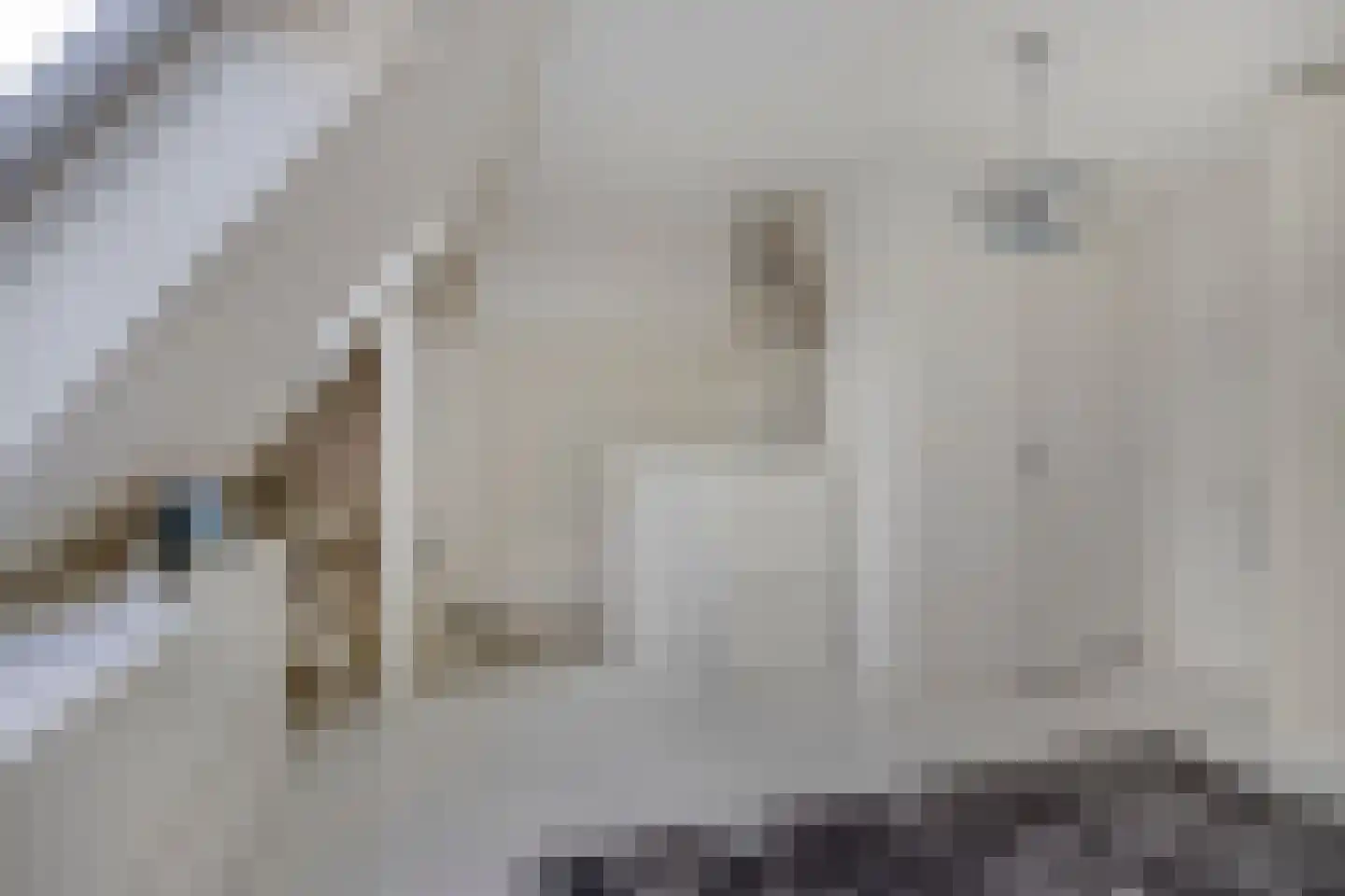 Ledalaan 17 Enschede thumbnail 24