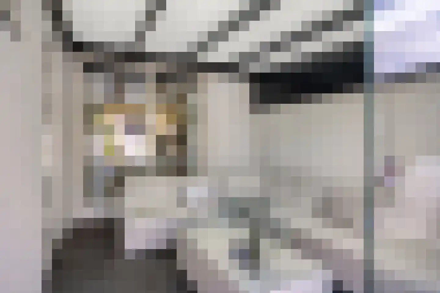 Ledalaan 17 Enschede thumbnail 25