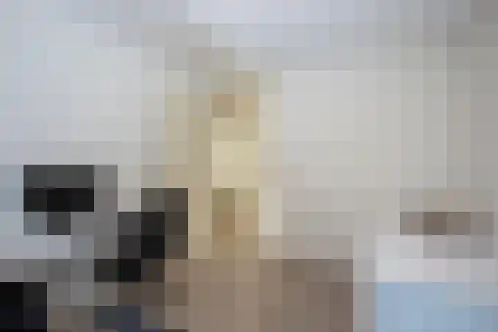 Ledalaan 47 A Enschede thumbnail 21