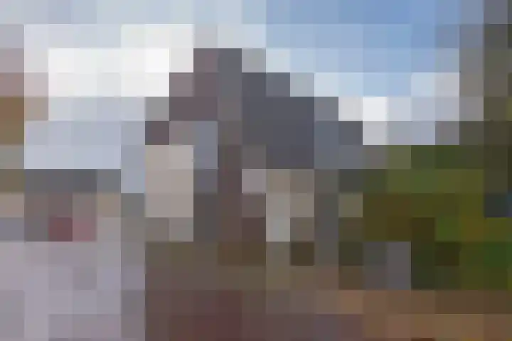 Ledalaan 47 A Enschede thumbnail 23