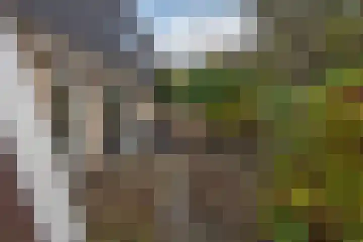 Ledalaan 47 A Enschede thumbnail 25