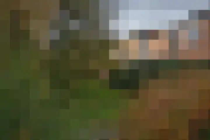 Ledalaan 47 A Enschede thumbnail 27