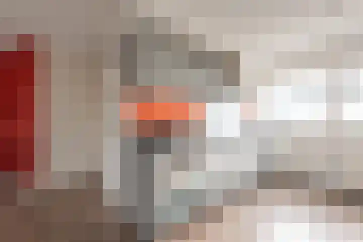 Ledaplantsoen 21 Apeldoorn thumbnail 10
