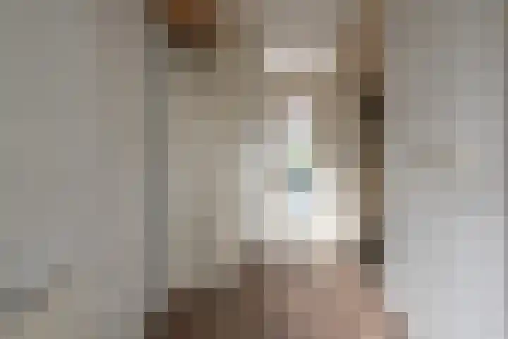 Ledaplantsoen 21 Apeldoorn thumbnail 12