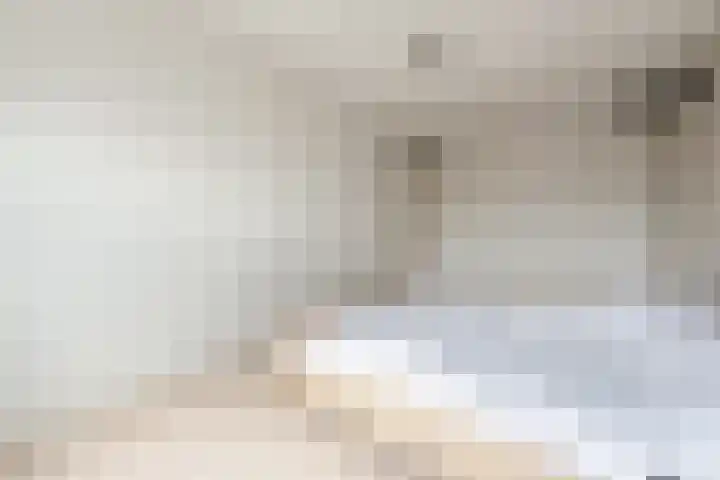 Ledaplantsoen 21 Apeldoorn thumbnail 19