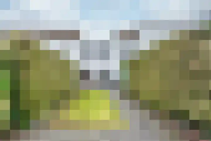 Ledaplantsoen 21 Apeldoorn thumbnail 21