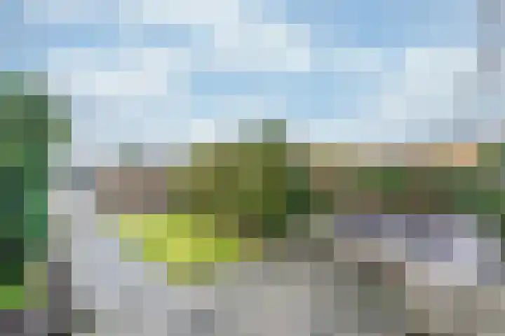 Ledaplantsoen 21 Apeldoorn thumbnail 22