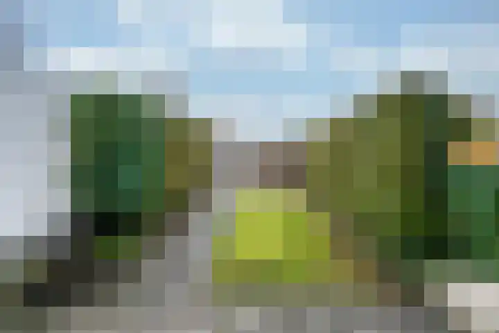 Ledaplantsoen 21 Apeldoorn thumbnail 23