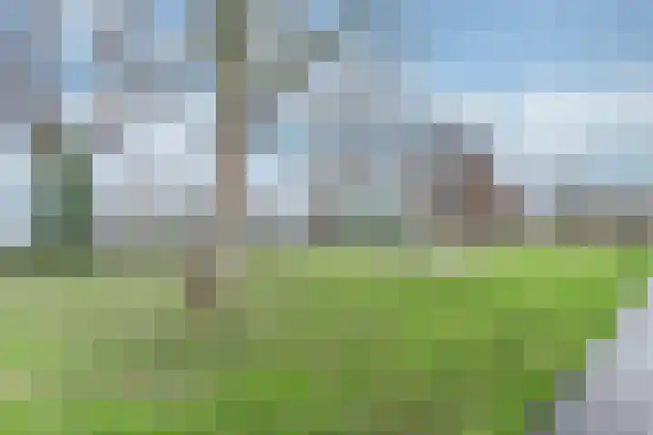 Ledaplantsoen 21 Apeldoorn thumbnail 26
