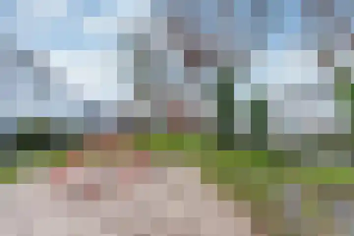 Ledaplantsoen 21 Apeldoorn thumbnail 27