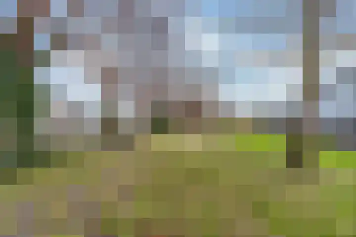 Ledaplantsoen 21 Apeldoorn thumbnail 28
