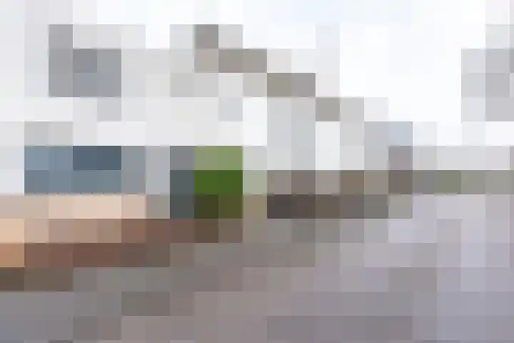 Ledaplantsoen 21 Apeldoorn thumbnail 30