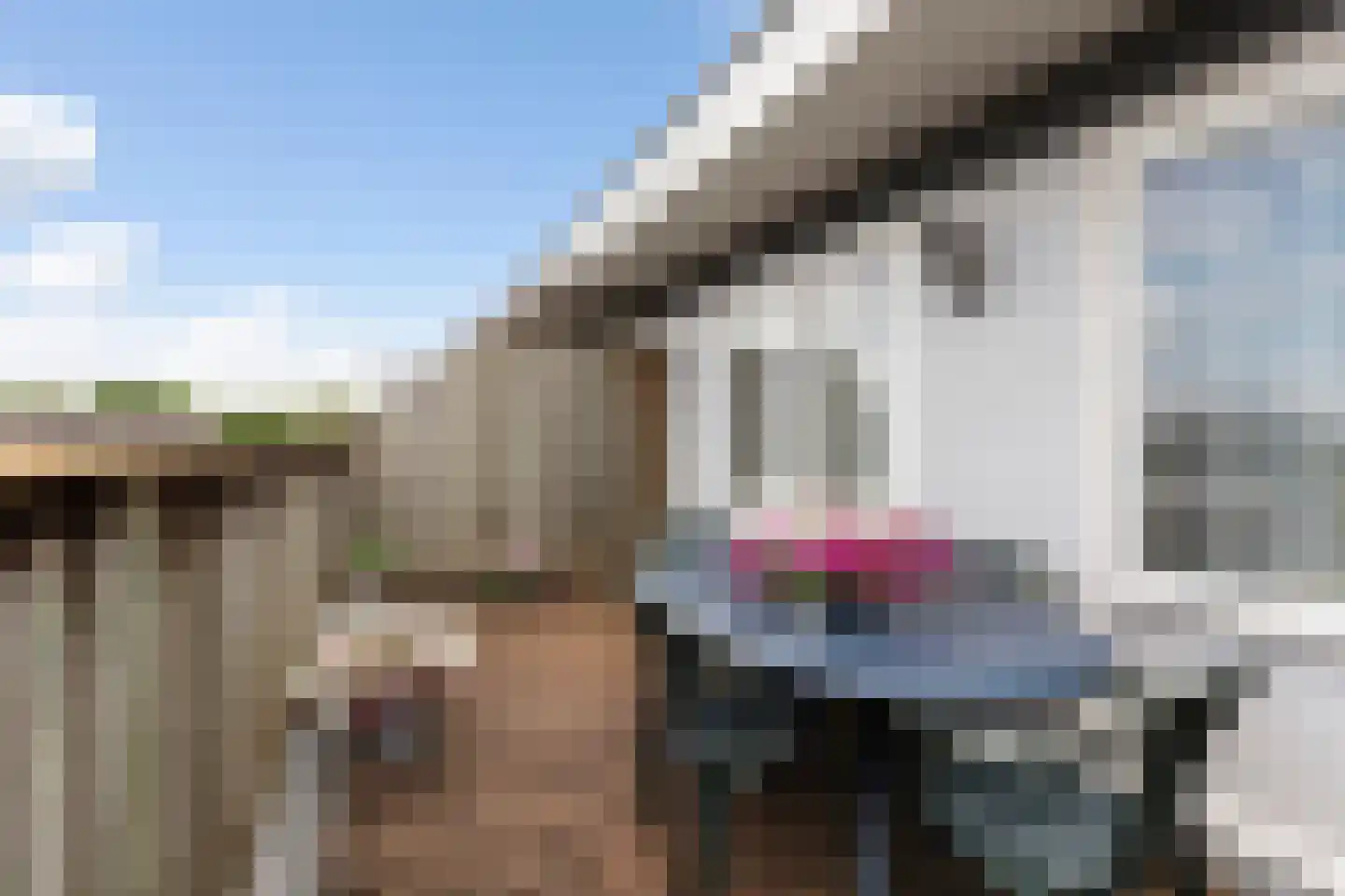 Ledaplantsoen 23 Apeldoorn thumbnail 22