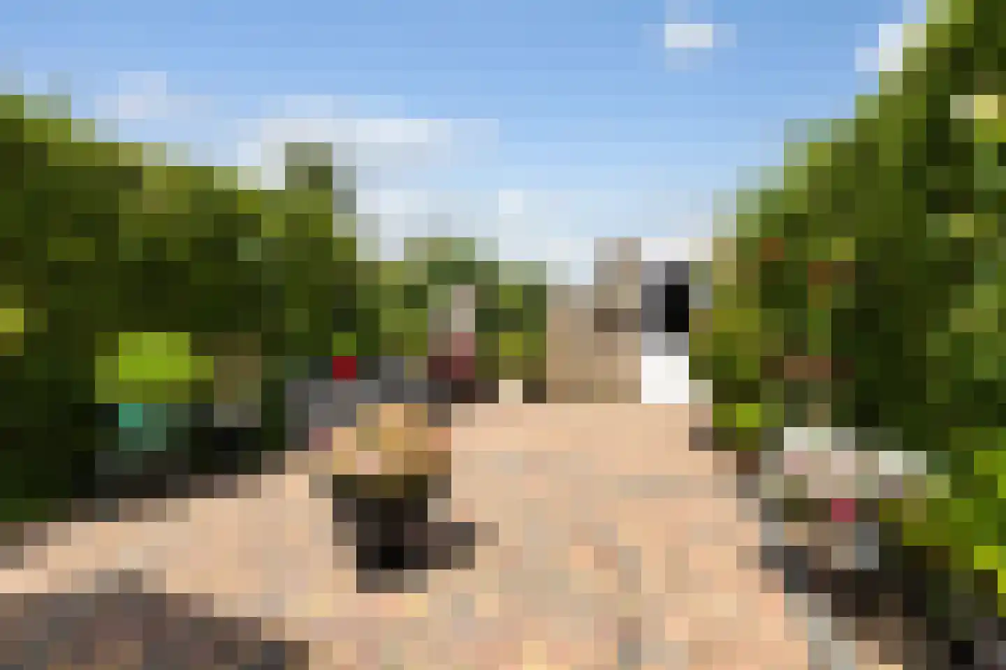 Ledaplantsoen 23 Apeldoorn thumbnail 27
