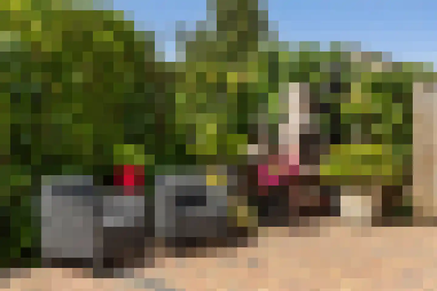 Ledaplantsoen 23 Apeldoorn thumbnail 28