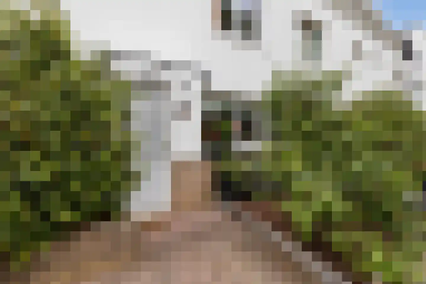 Ledaplantsoen 23 Apeldoorn thumbnail 30
