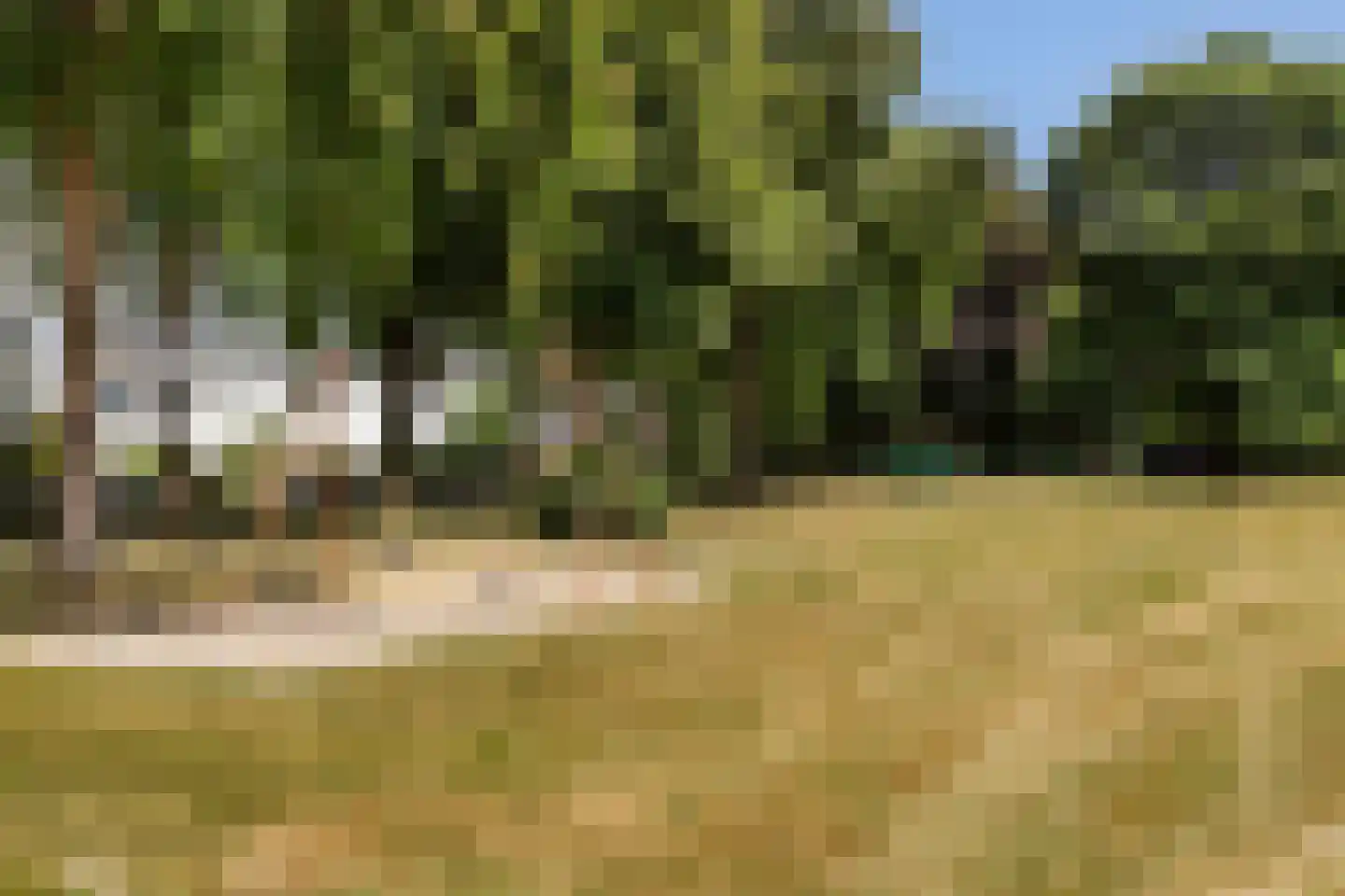 Ledaplantsoen 23 Apeldoorn thumbnail 34