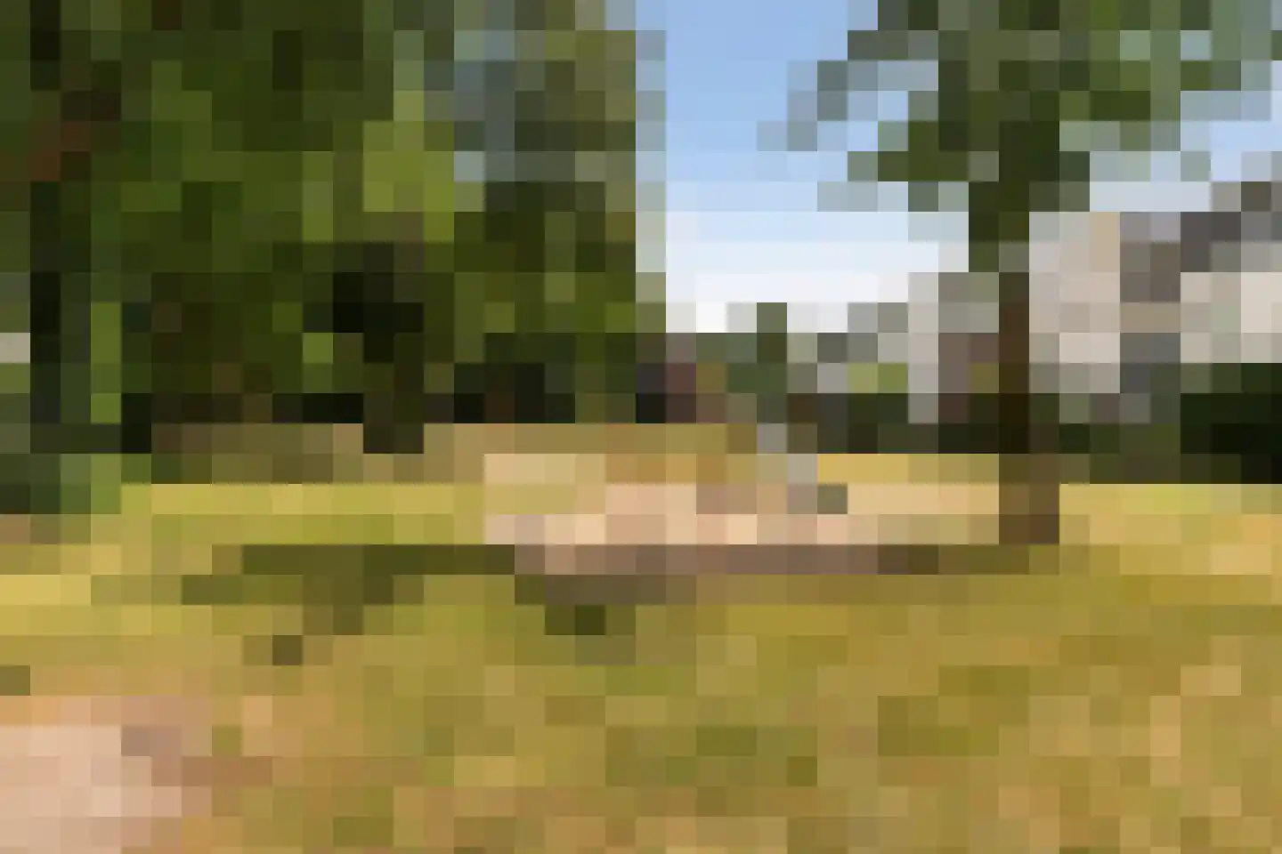 Ledaplantsoen 23 Apeldoorn thumbnail 35