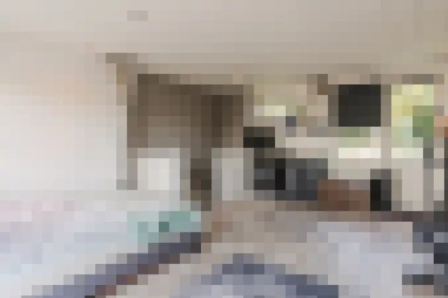 Ledaplantsoen 40 Apeldoorn thumbnail 31