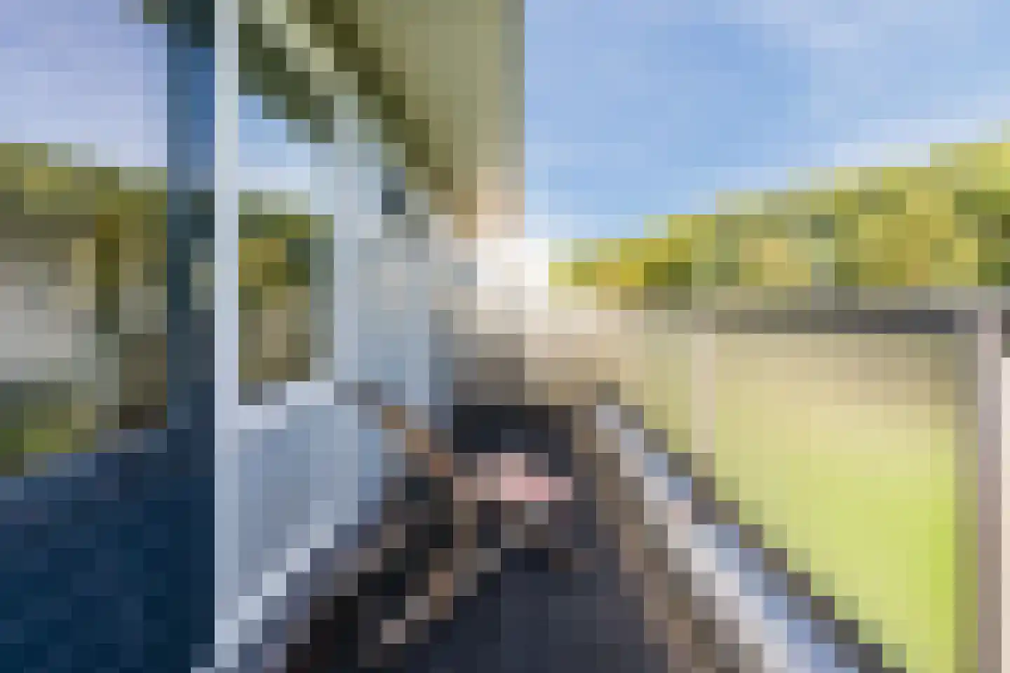 Ledaplantsoen 40 Apeldoorn thumbnail 35