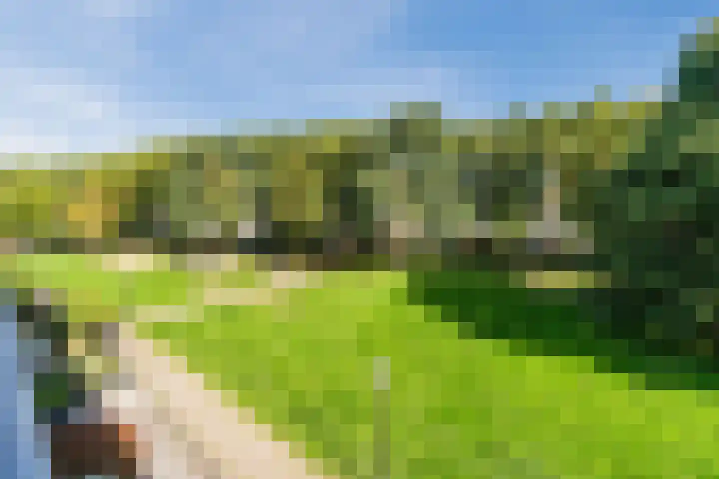 Ledaplantsoen 40 Apeldoorn thumbnail 36
