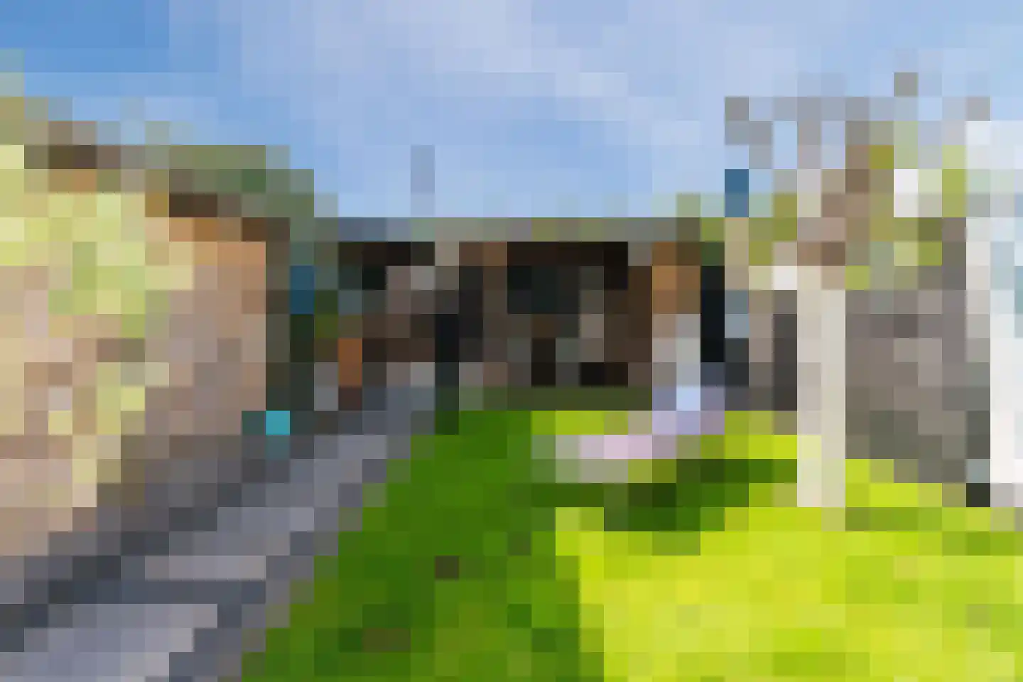 Ledaplantsoen 40 Apeldoorn thumbnail 38
