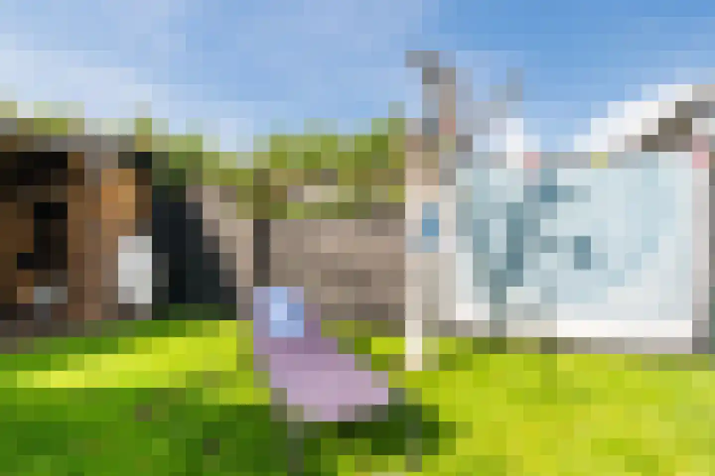 Ledaplantsoen 40 Apeldoorn thumbnail 39