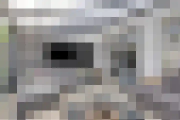 Ledaplantsoen 7 Apeldoorn thumbnail 10