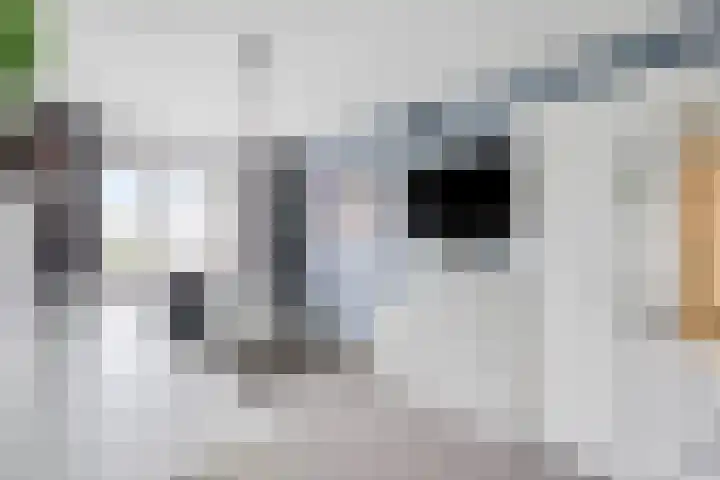 Ledaplantsoen 7 Apeldoorn thumbnail 14