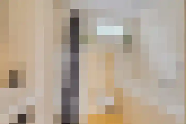 Ledaplantsoen 7 Apeldoorn thumbnail 16