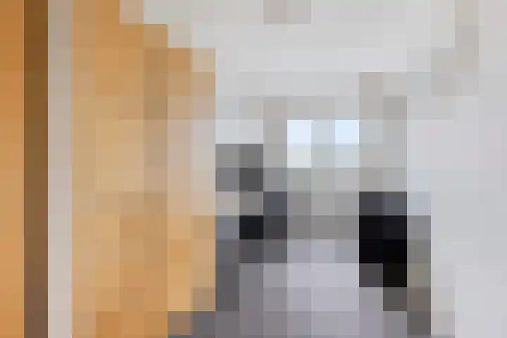 Ledaplantsoen 7 Apeldoorn thumbnail 17