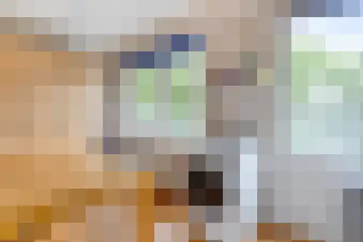 Ledaplantsoen 7 Apeldoorn thumbnail 20