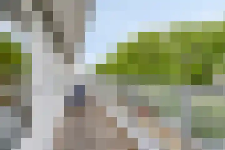 Ledaplantsoen 7 Apeldoorn thumbnail 22