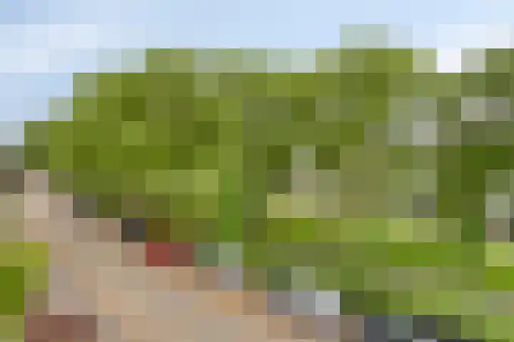 Ledaplantsoen 7 Apeldoorn thumbnail 23