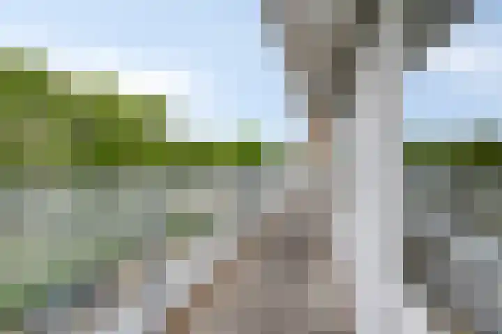 Ledaplantsoen 7 Apeldoorn thumbnail 24