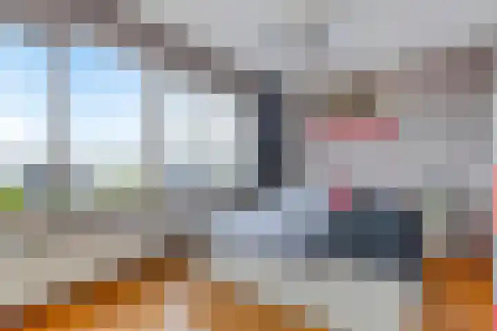 Ledaplantsoen 7 Apeldoorn thumbnail 25