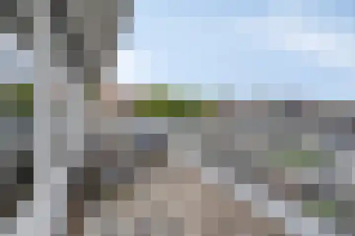 Ledaplantsoen 7 Apeldoorn thumbnail 27