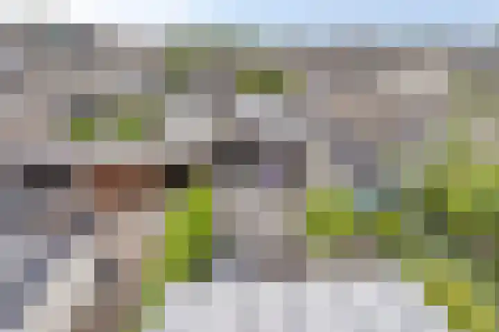 Ledaplantsoen 7 Apeldoorn thumbnail 30