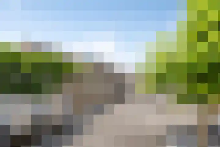 Ledaplantsoen 7 Apeldoorn thumbnail 31