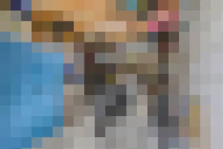 Ledaplantsoen 7 Apeldoorn thumbnail 33