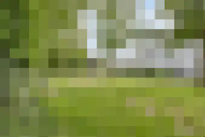 Ledaplantsoen 7 Apeldoorn thumbnail 35