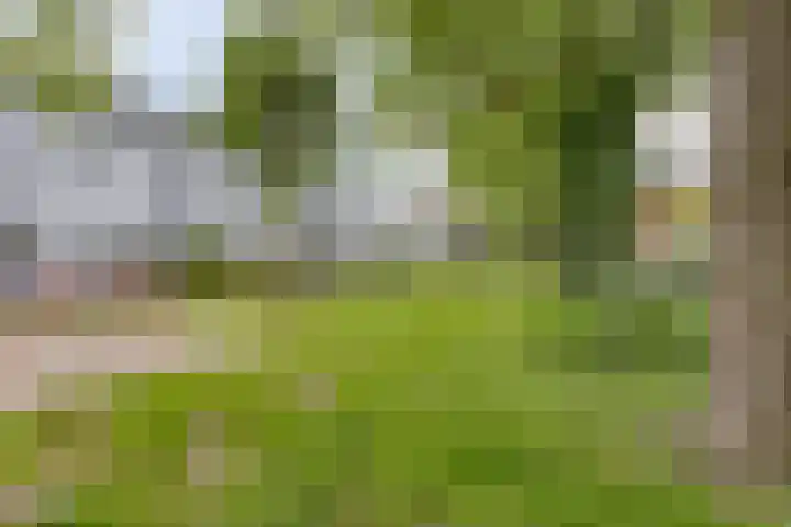 Ledaplantsoen 7 Apeldoorn thumbnail 36