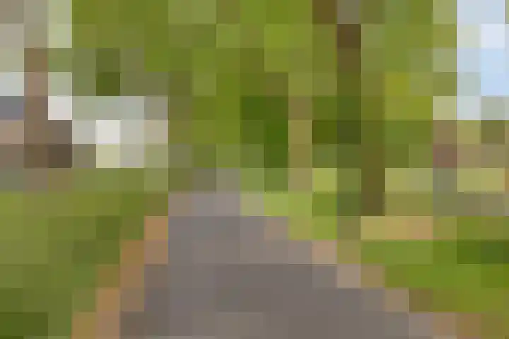 Ledaplantsoen 7 Apeldoorn thumbnail 37