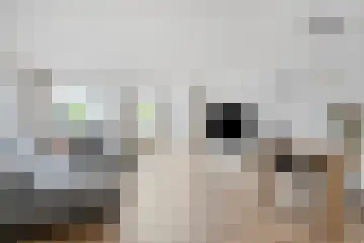 Ledaplantsoen 7 Apeldoorn thumbnail 4