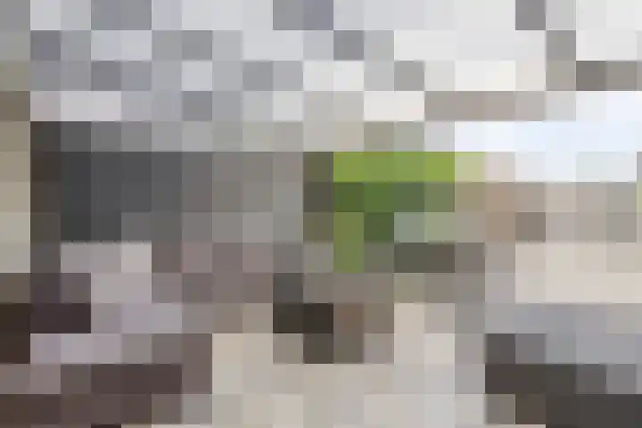 Ledaplantsoen 7 Apeldoorn thumbnail 9