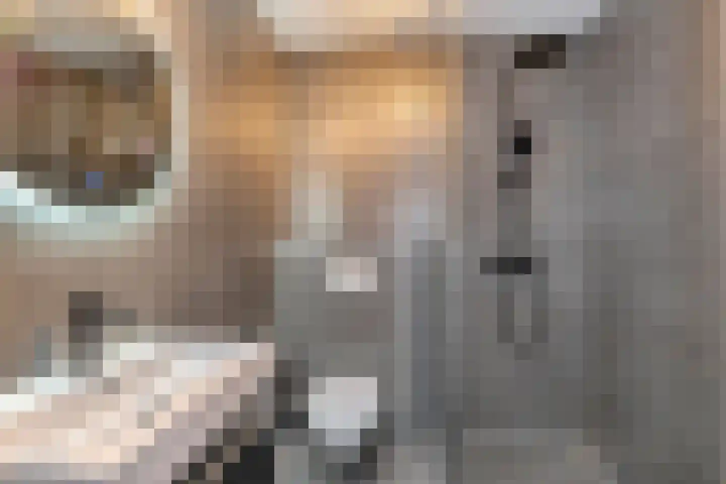 Ledastraat 19 Rotterdam thumbnail 13