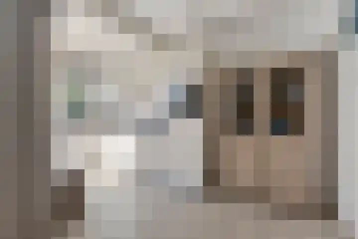 Ledderkenstraat 8 Stein thumbnail 13