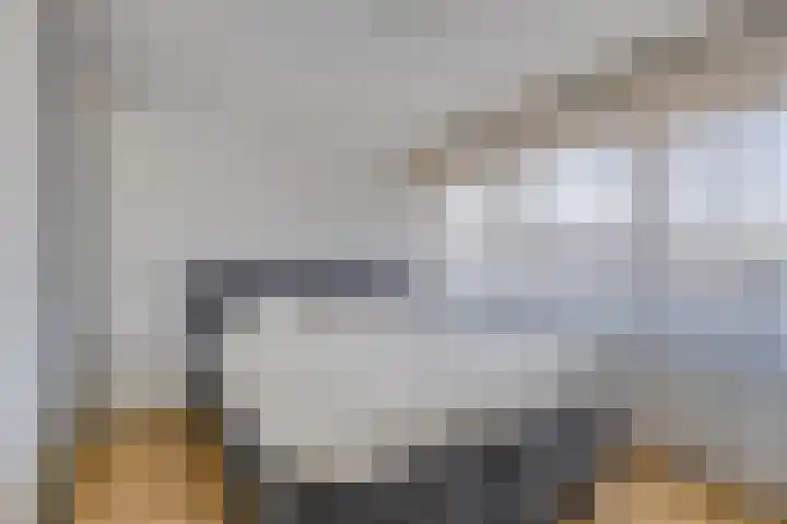 Ledderkenstraat 8 Stein thumbnail 23